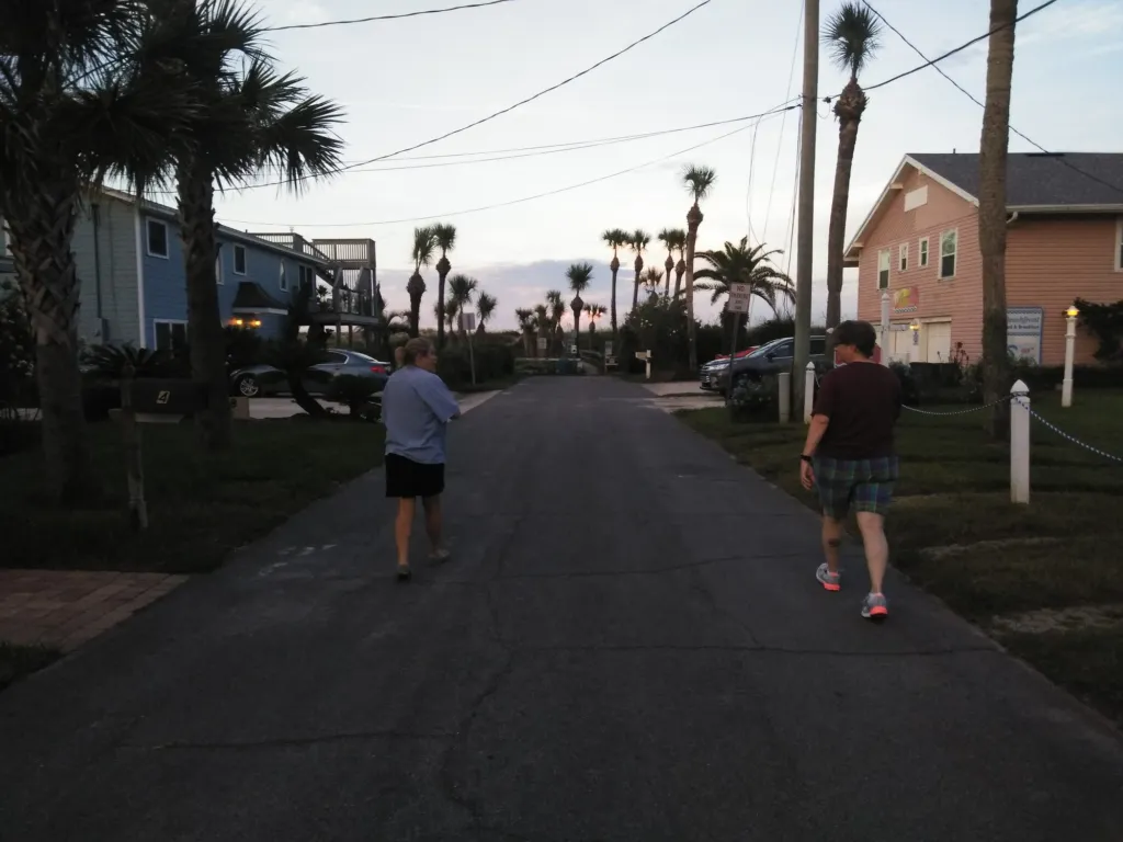 A beach-town street lined with palms at dusk