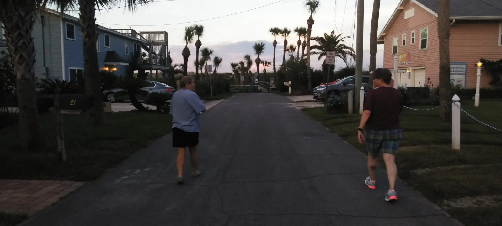 A beach-town street lined with palms at dusk