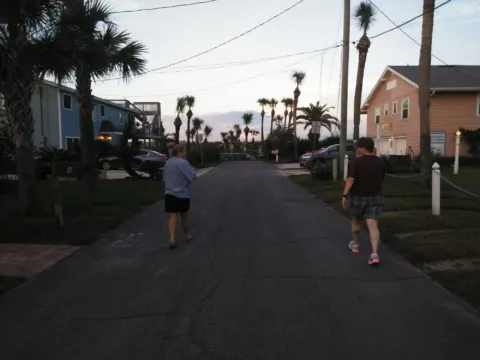 A beach-town street lined with palms at dusk