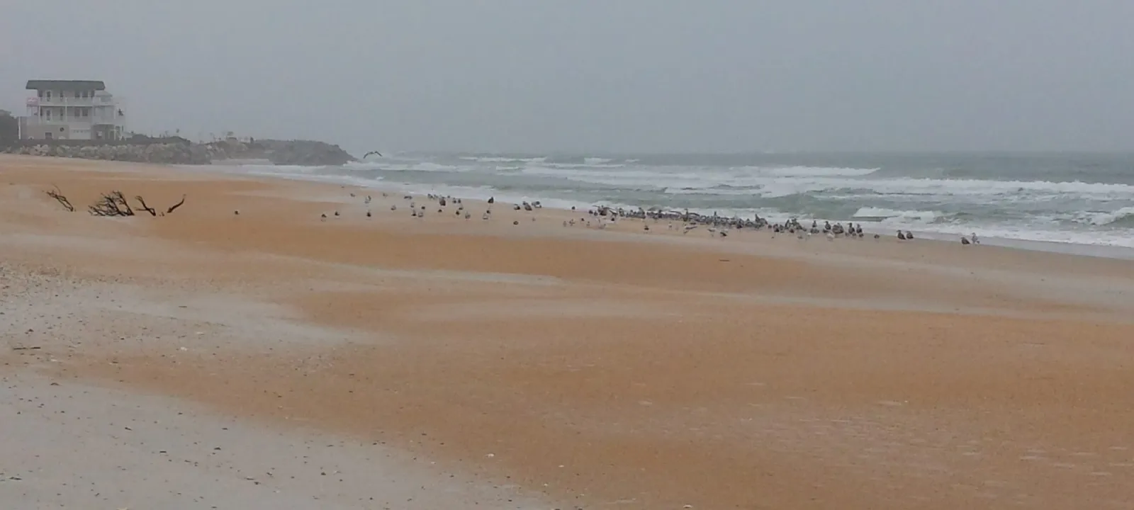 A beach with buildings in the far distance