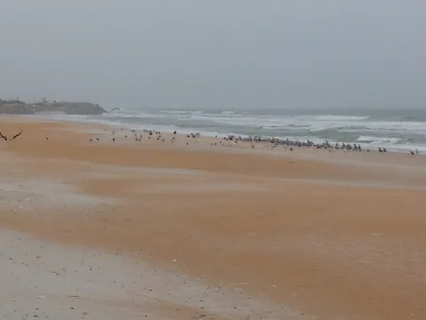A beach with buildings in the far distance