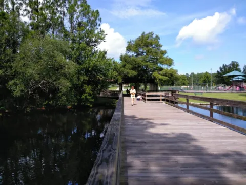 A boardwalk beside dark, tree-lined water