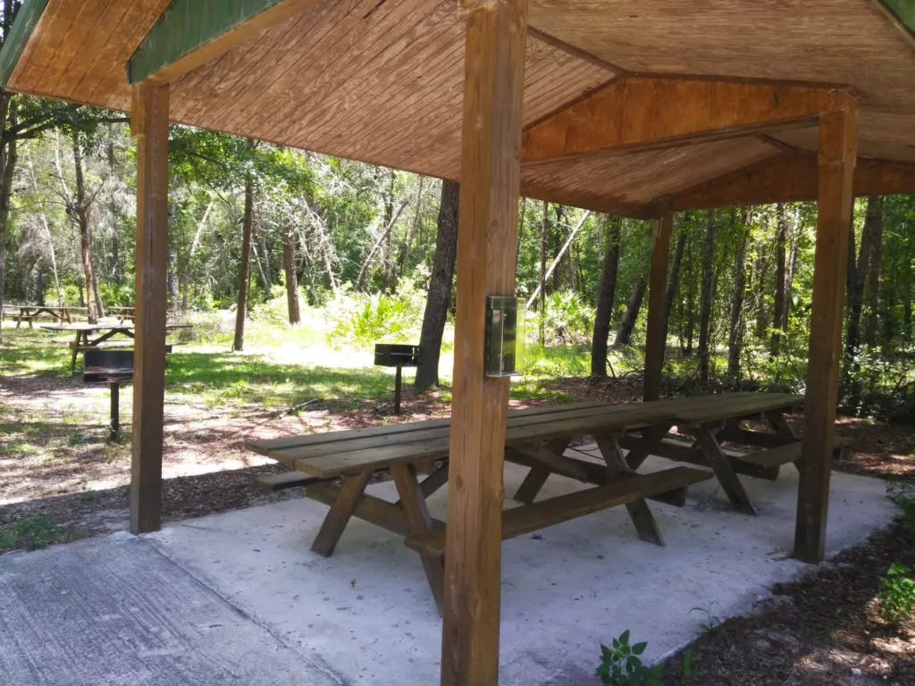 A covered picnic pavilion in a shady park