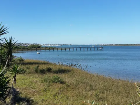 A marsh shoreline and bay with a pier in the distance