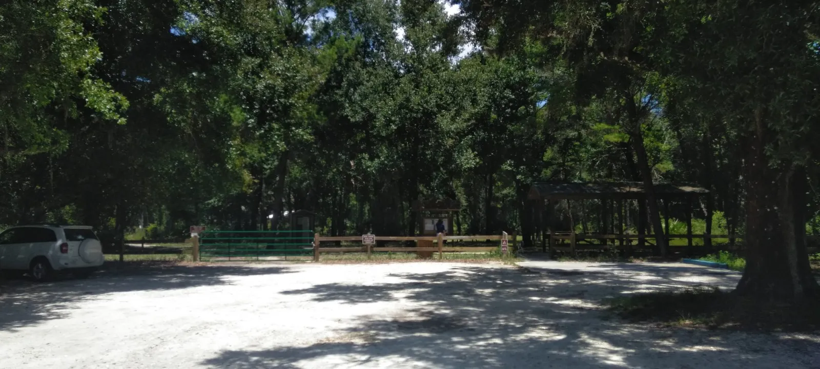 A park road winding through Florida woods