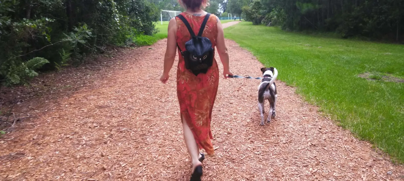 A person walking a small dog down a wooded trail
