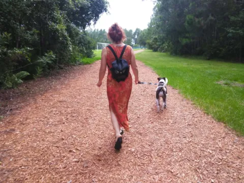 A person walking a small dog down a wooded trail