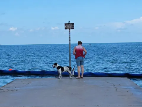 A pier over blue water with people fishing at the end