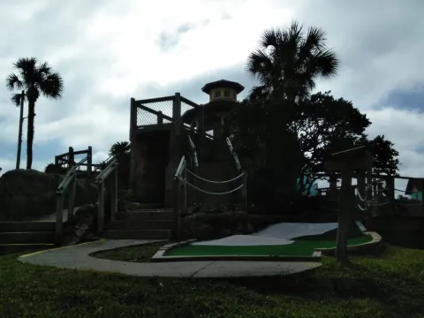 A playground under tall palms