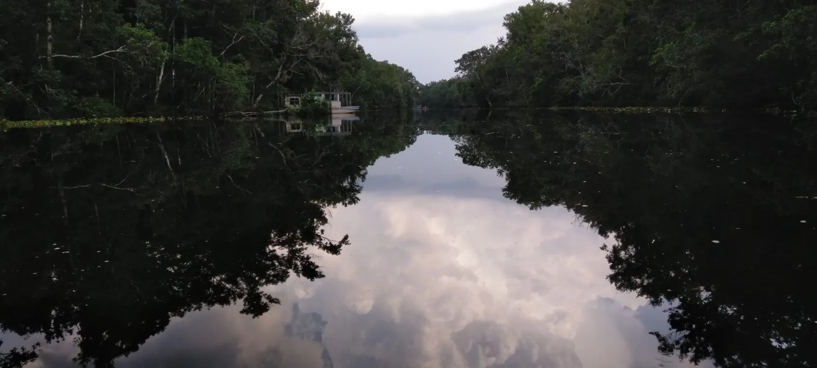 A quiet Florida river reflecting the sky