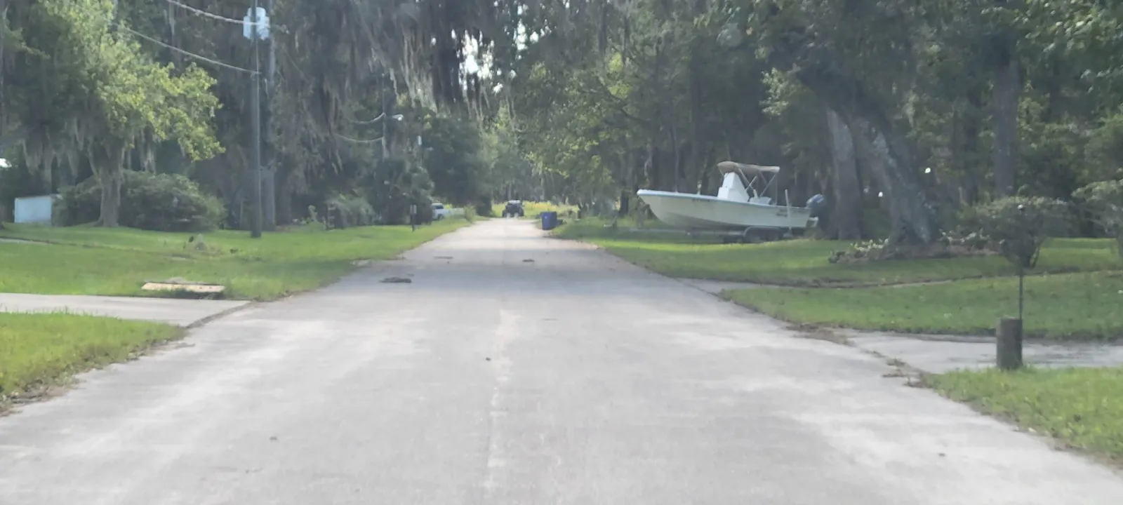 A quiet Florida road lined with oaks