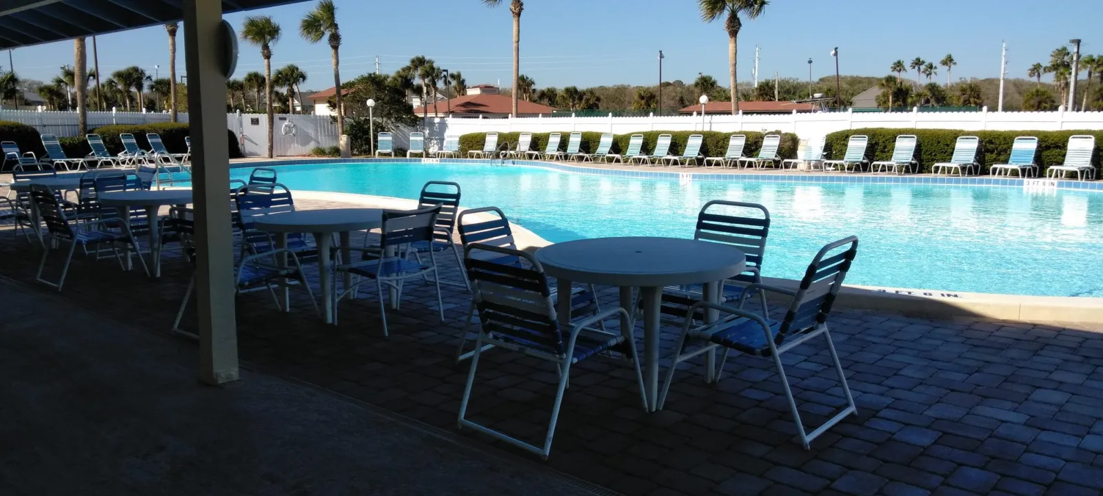 A resort pool deck with lounge chairs and palms