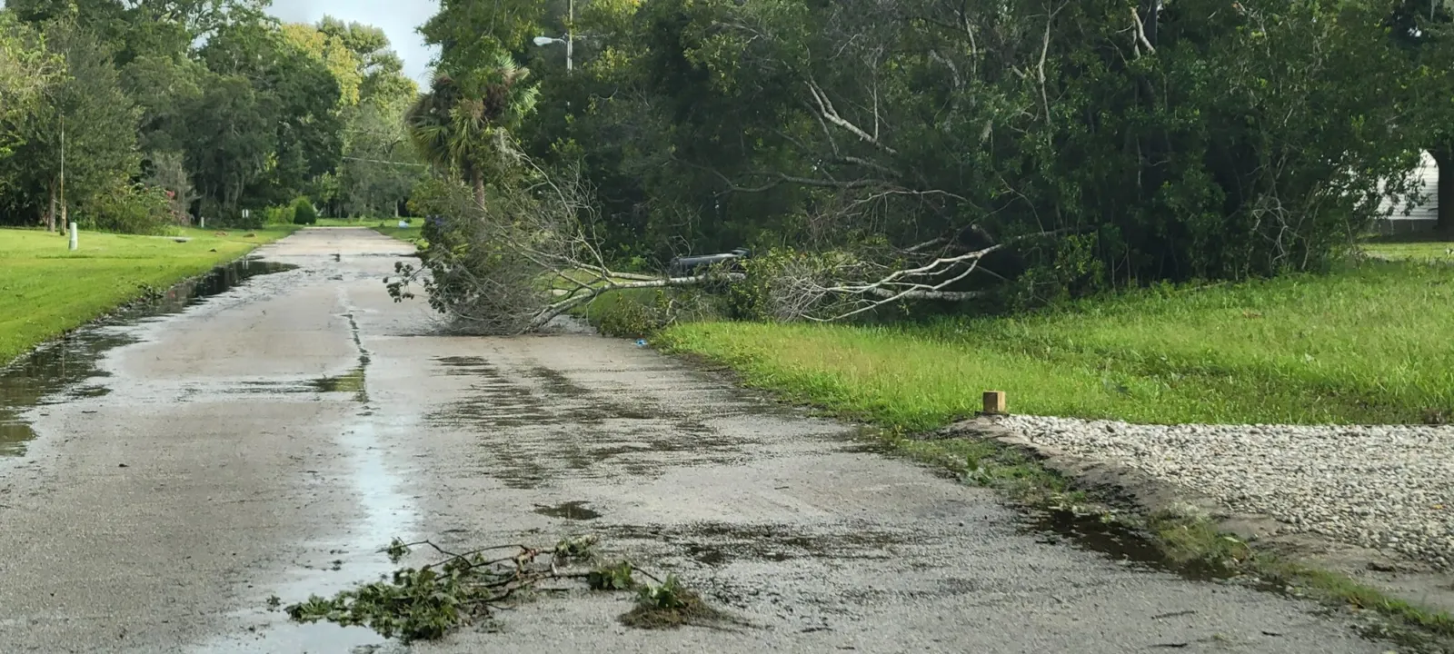 A road covered in standing water and fallen branches after a storm