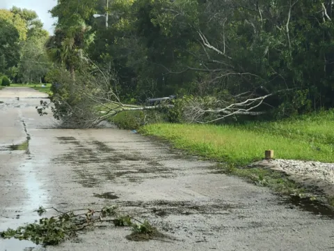 A road covered in standing water and fallen branches after a storm