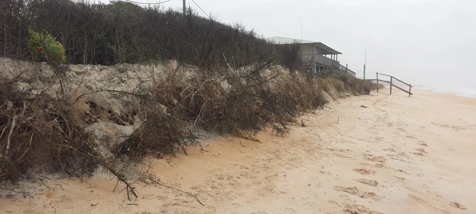 A sandy bluff above a quiet beach