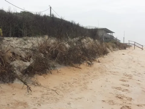 A sandy bluff above a quiet beach