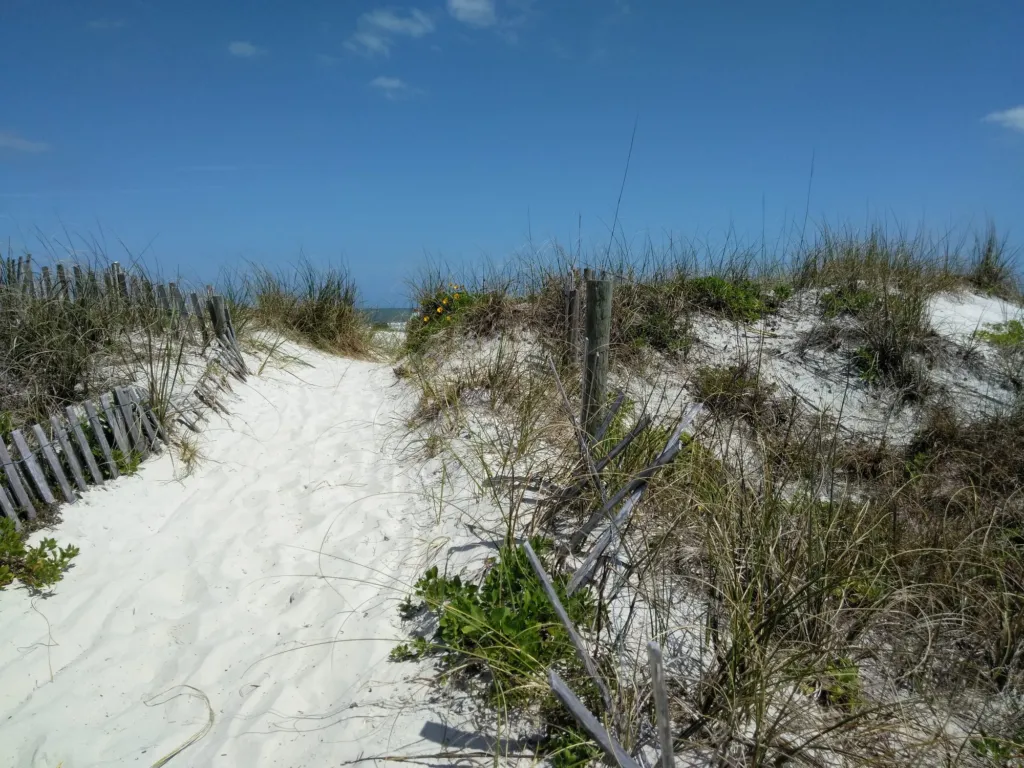 A sandy path through the dunes to the beach