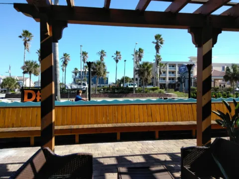 A shaded patio pergola with palms beyond
