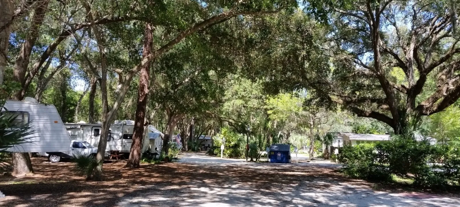A shady campground-style clearing under oaks