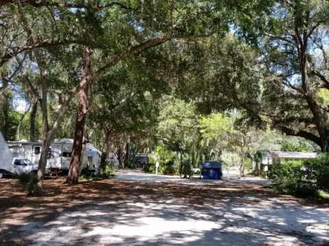 A shady campground-style clearing under oaks