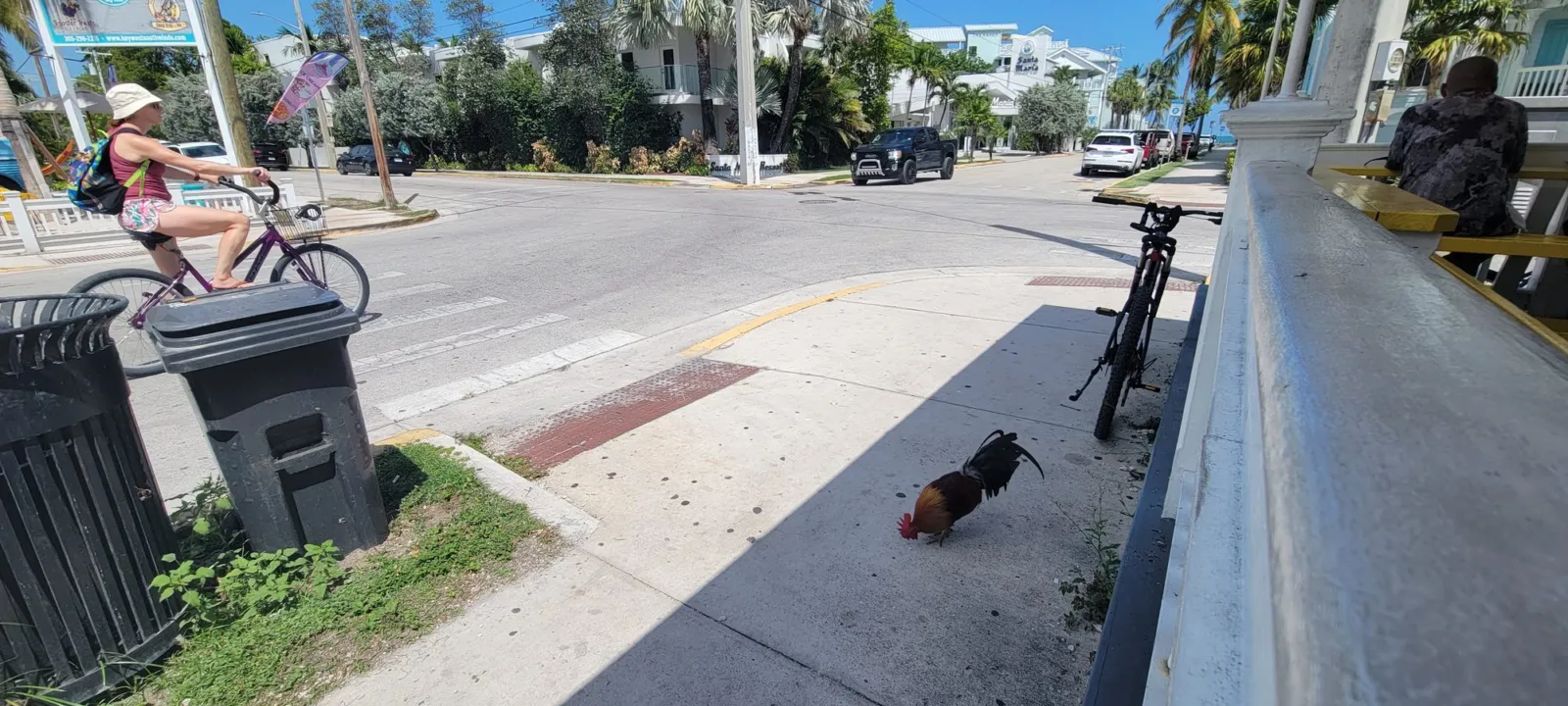 A street in Key West with bikes and low buildings