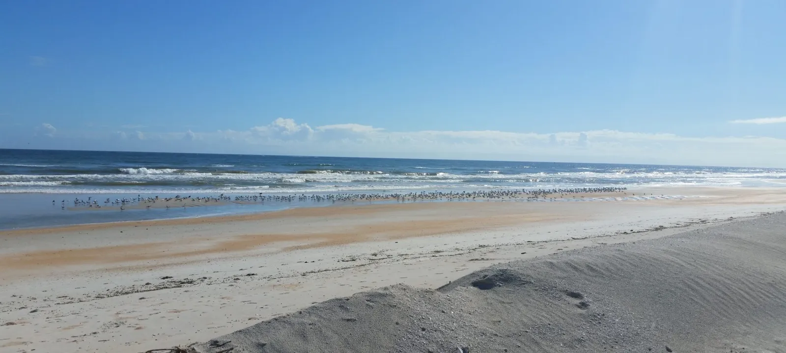 A sunny beach with calm water