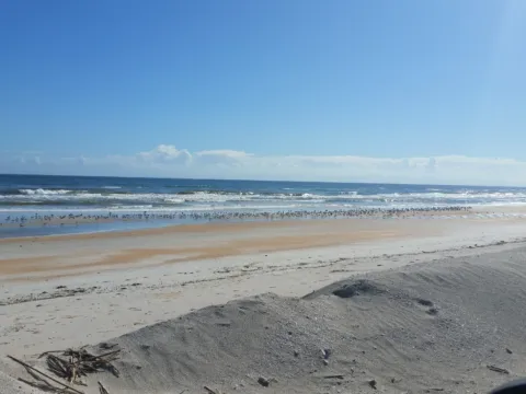 A sunny beach with calm water