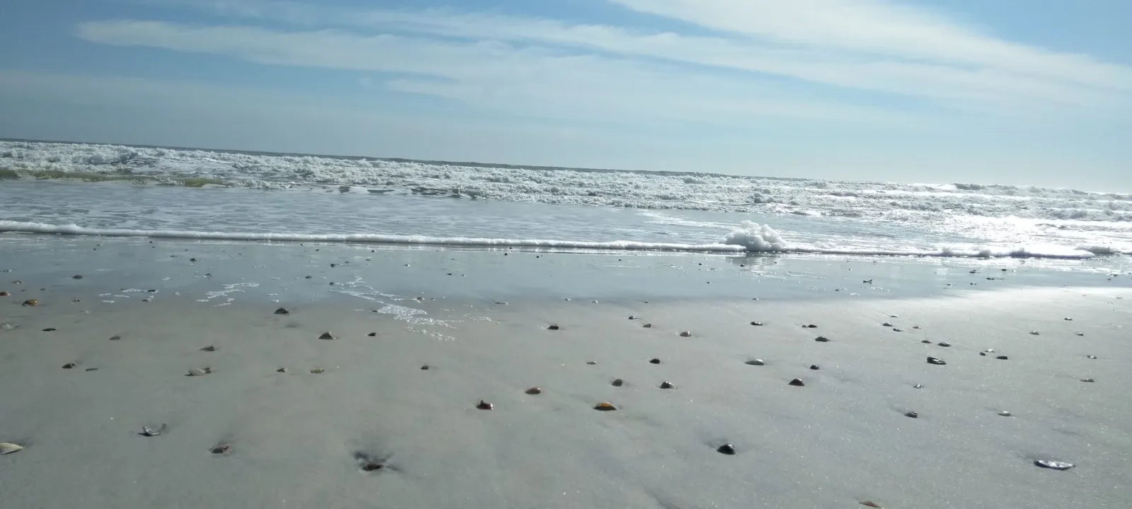 A sunny, empty stretch of beach