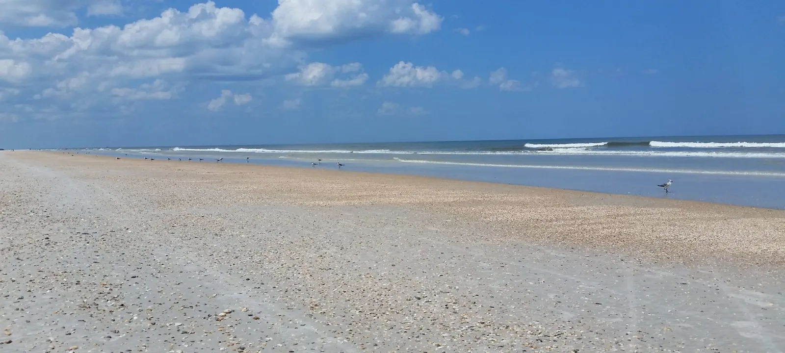 A wide, empty Florida beach under a blue sky