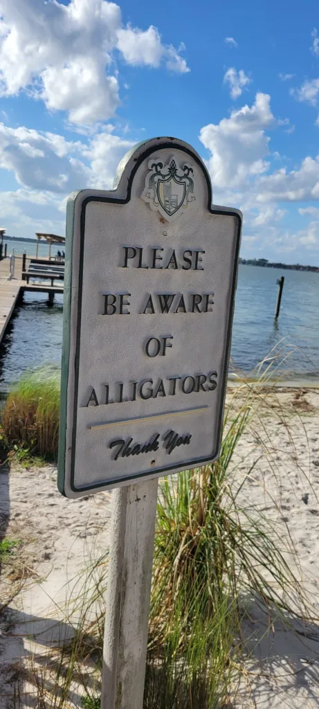 A cast metal sign reading PLEASE BE AWARE OF ALLIGATORS beside a white sand swimming beach and dock on a Florida lake.