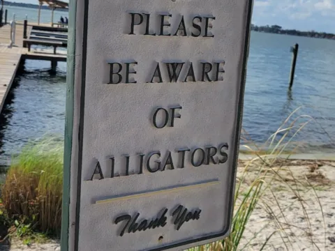 A cast metal sign reading PLEASE BE AWARE OF ALLIGATORS beside a white sand swimming beach and dock on a Florida lake.