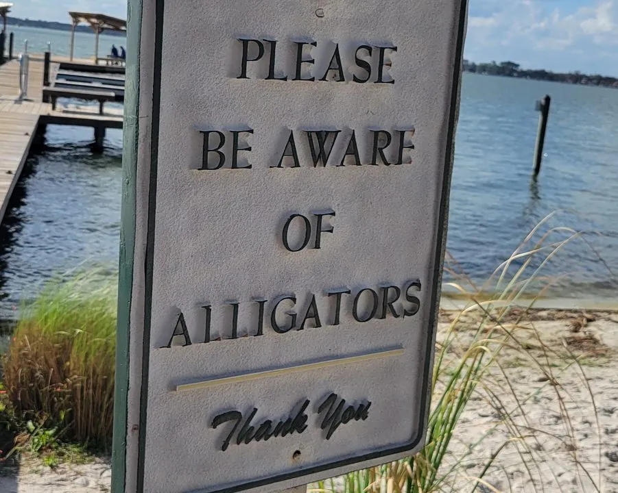 A cast metal sign reading PLEASE BE AWARE OF ALLIGATORS beside a white sand swimming beach and dock on a Florida lake.