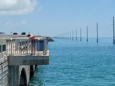 An old bridge running out over turquoise water in the Florida Keys