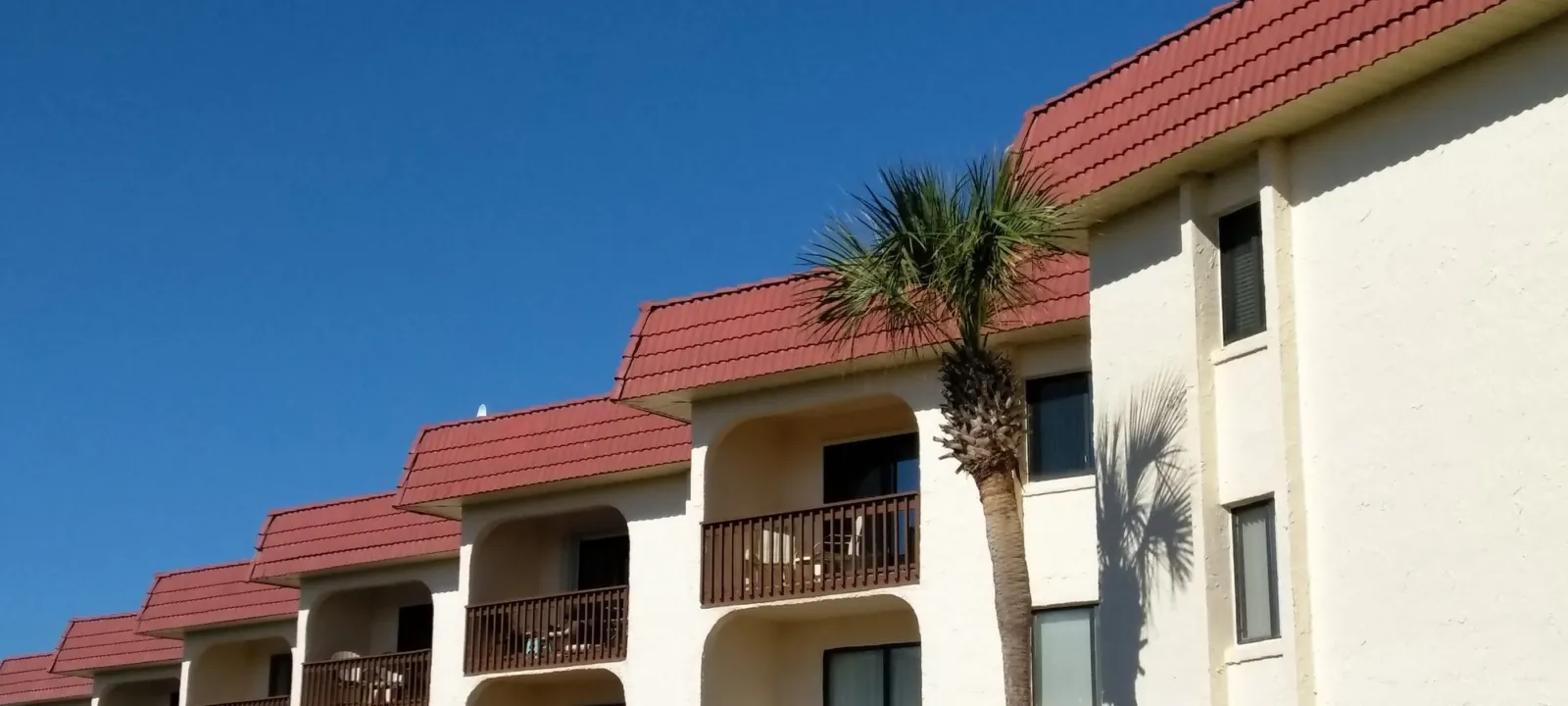 Balconies of a beachfront condo building with a palm