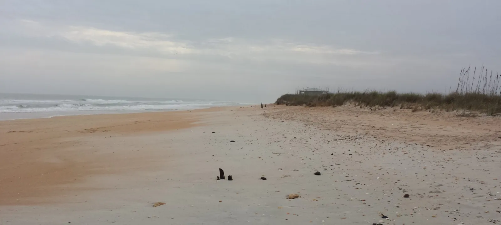 A sandy beach bordered by coastal dunes and scrub.