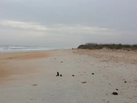 A sandy beach bordered by coastal dunes and scrub.