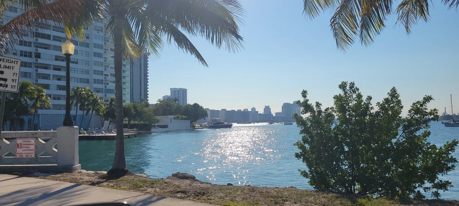 Palm trees along a paved bayfront path with Biscayne Bay and the Miami skyline across the water.