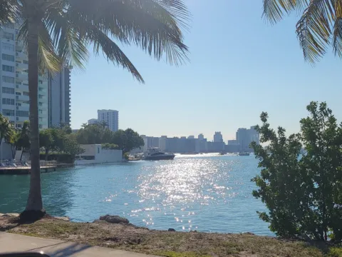 Palm trees along a paved bayfront path with Biscayne Bay and the Miami skyline across the water.