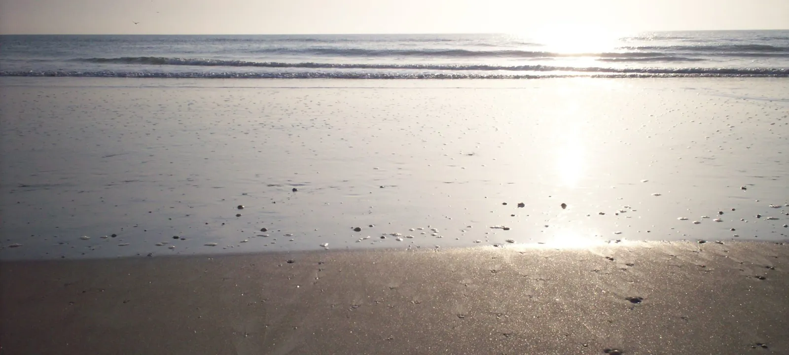 Bright light over a quiet shoreline