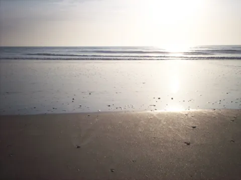 Bright light over a quiet shoreline