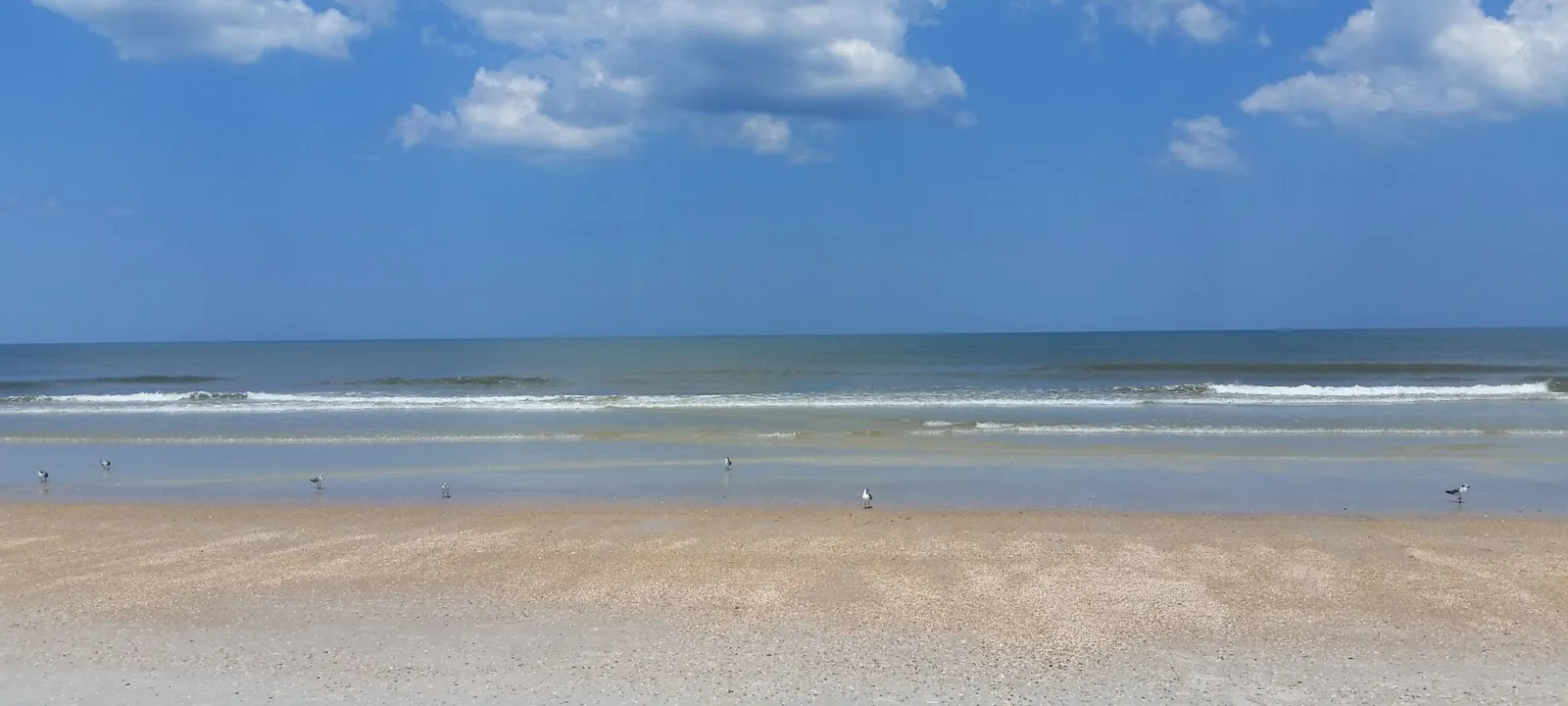 A broad sandy beach with low surf under big white clouds.