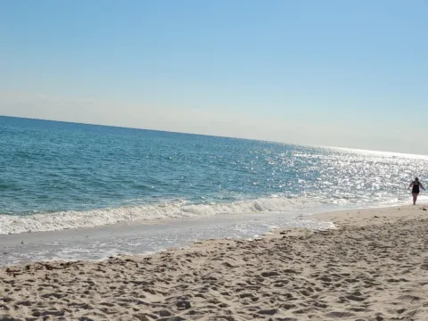 Calm, shallow water along a white sand beach