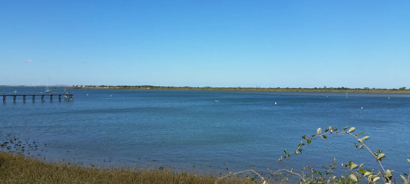 Calm shallow water and a grassy shore on a clear afternoon.