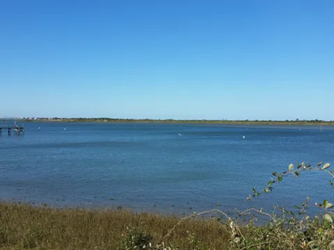 Calm shallow water and a grassy shore on a clear afternoon.