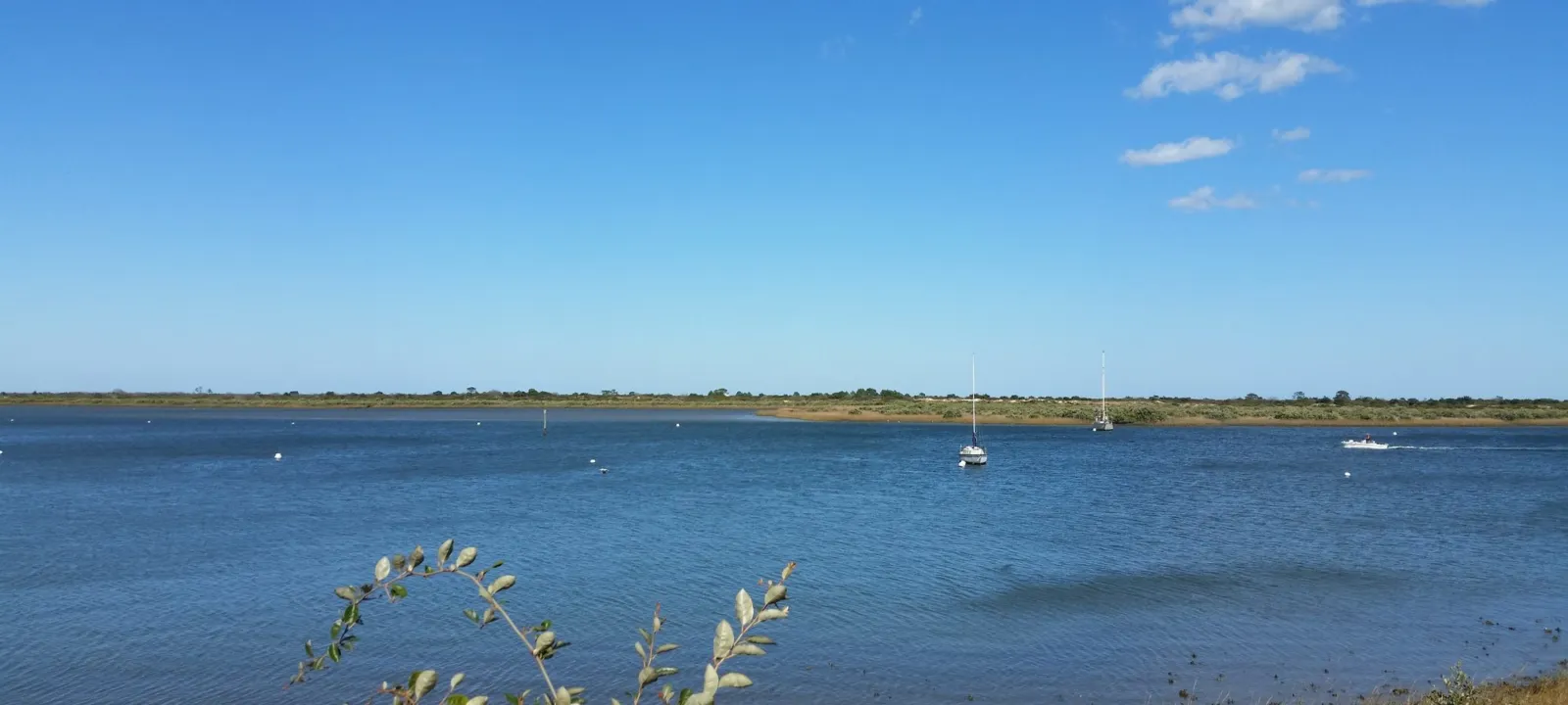 Calm blue water beside a grassy shoreline on a clear day.