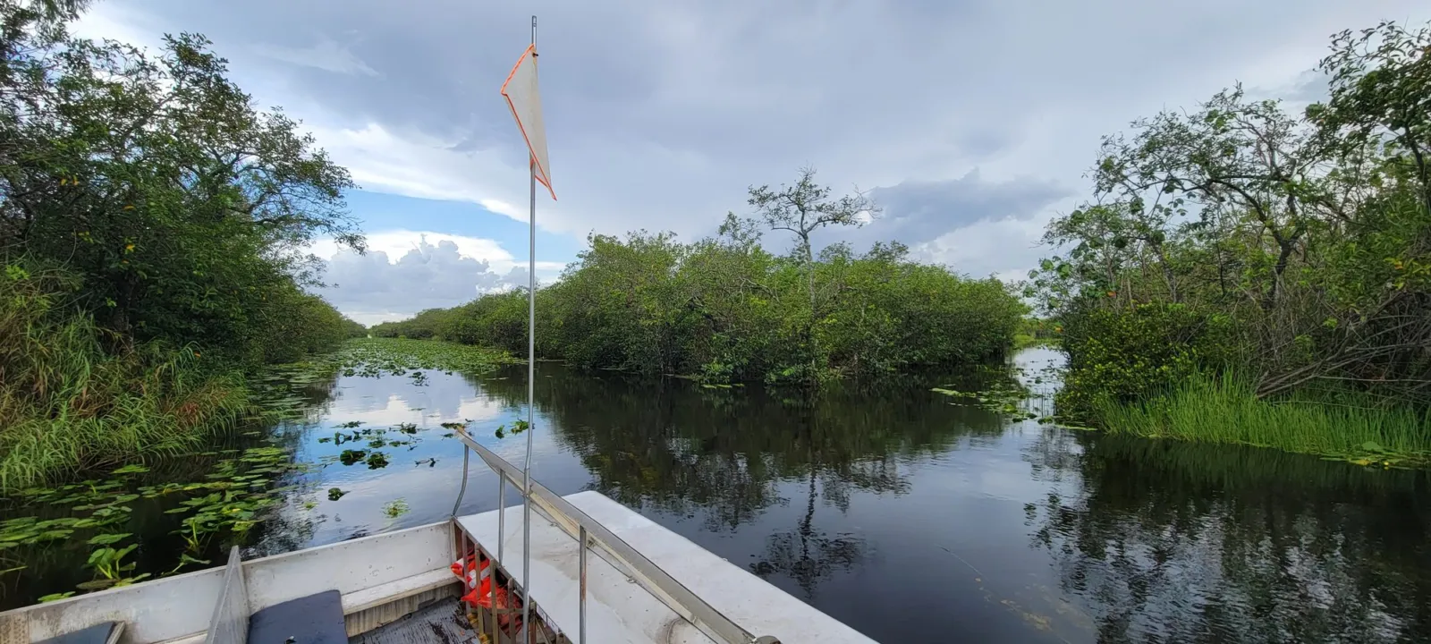 Canal and mangrove edge in the Everglades