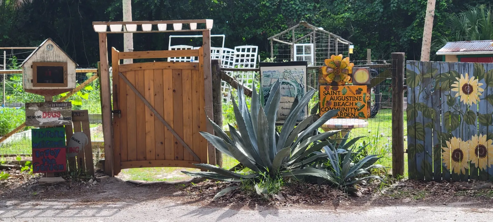 A hand-painted sign reading NO DOGS ALLOWED at the wooden gate of the Saint Augustine Beach Community Garden.
