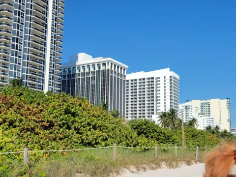 Condo towers rising behind dunes on Miami Beach