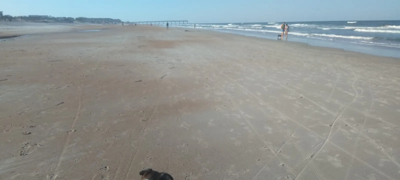 A dog on a leash on a wide, flat beach.