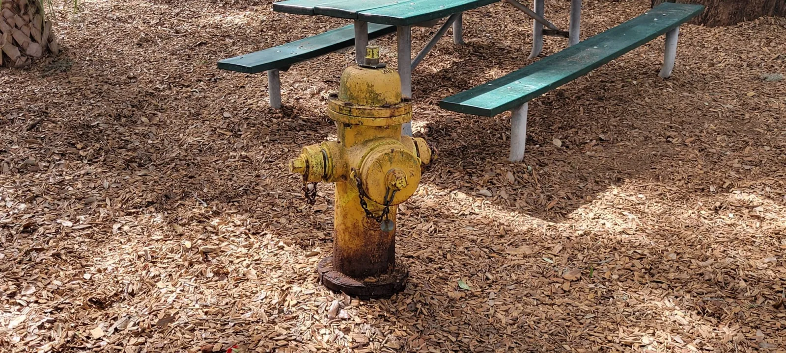 A yellow fire hydrant standing on wood-chip mulch inside a fenced dog park, beside a green picnic table.